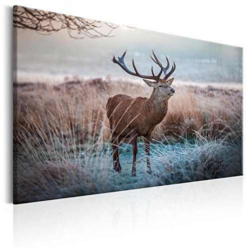 murando Akustikbild Hirsch Bilder Akustikschaum Hochleistungsschallabsorber Schallschutz Leinwand 1 tlg Wandbild Raumakustik Schalldämmung Tiere Natur g-B-0053-b-b