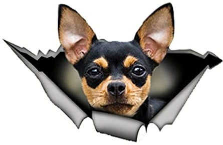 SHUNHUA 3D Hunde Aufkleber, 13 cm x 8 cm, Persönlichkeit, Schwarz und Tan, Chihuahua, Autoaufkleber, Autofenster, Zubehör, Abdeckung, Kratzer, reflektierendes PVC, 1 Stück
