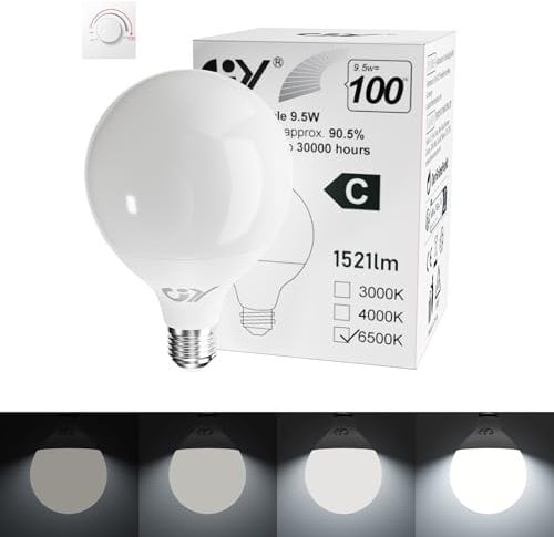 GY E27 LED Kaltweiss Dimmbar Glühbirne, G95 9,5W 6500K 1521 Lumen Kaltweiß Globe Lampe, 100W Halogen Leuchtmittel ersetzt, Dimmbare Energiesparlampen, 1 stück