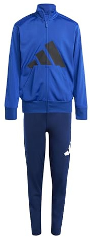 adidas Unisex Kinder ESSENTIALS BIG LOGO CLIMACOOL TRACKSUIT, team royal blue/black, 15-16 Years