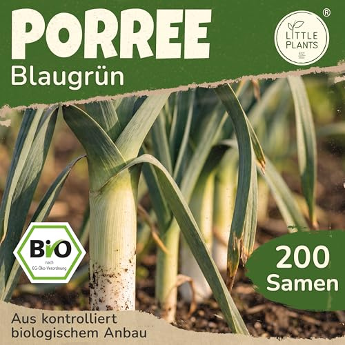 Little Plants BIO Porree Samen 200 Blaugrün Porreesamen Gemüsesamen Samenfest für Gemüsegarten Gemüse Samen für Küche, Balkon, Hochbeet und Garten
