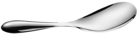BESTYASH Cuillère à Riz Acier Inoxydable Non Adhérente Spatule de Cuisine Ergonomique Réutilisable Cuillère Japonaise pour Cuiseur à Riz Ustensile Robuste Rayure pour Service et