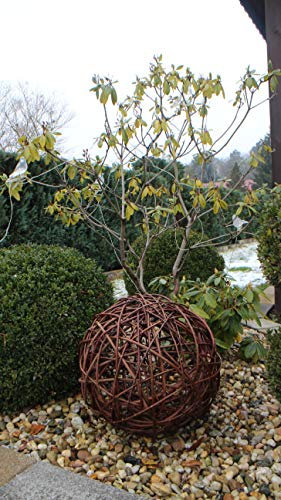 Weidenkugel in 6 Größen, Dekokuge laus Weide Weidenball Gartenkugel Handgefertigt in EU (45cm)