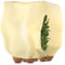 Winterschutz für Pflanzen 180x120cm Winter Pflanzenschutz Frostschutz Schutzhülle 80g/m² mit Reißverschluss Zugband Reißfest für Garten Haube Kübelpflanzen Olivenbaum Palmen Baum Beige 1 Stück