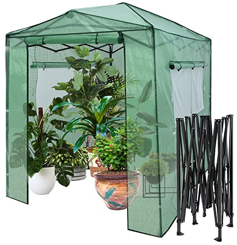 RELAX4LIFE Gewächshaus, Foliengewächshaus Winterfest mit 2 Aufrollbaren Fenstern & 2 Aufrolltüren, Überwinterungszelt für Pflanzen, Pflanzenhaus für Blumen Gemüse Obst, 250 × 180 × 210-230cm