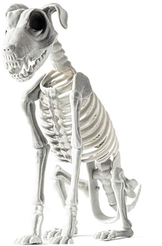 Halloween Skelett Hunde, 31 X 44 cm, Sitzendes Hunde Skelett Deko Mit Realistischen Zähnen, Schreckliche Und Merkwürdige Halloween Deko Für Draußen, Halloween Deko Outdoor Für Spukhaus, Gathering