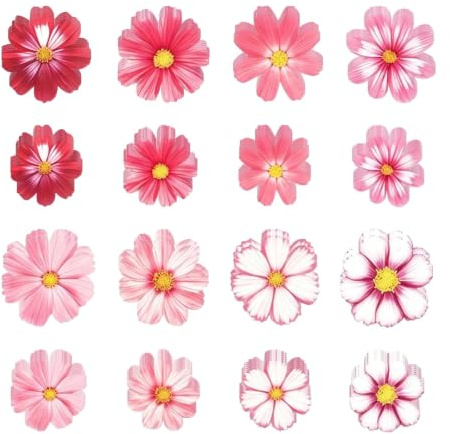 72 Pièces Gluant Papier de Riz Décoratif Gâteau, Fleurs pour Gâteau, Fleurs,Fleurs Roses et Blanches,Décoration Gateau Anniversaire, Deco Gâteau pour Mariages, Fêtes Événements, Polyvalence