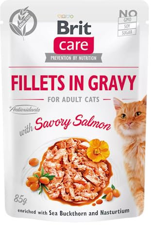 Brit Care COT SASZ.85G FG Salory Lachs, Nassfutter für Katzen, Packung mit 1 Stück, 85 g