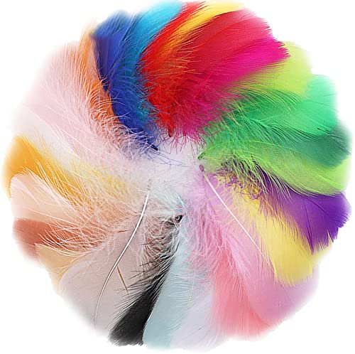300 Stück Federn Zum Basteln Bunte Federn Naturfedern Natürliche Gänsefeder Indianer Feder für Traumfänger Basteln,Kostüme, Hüte,Zuhause Dekor, DIY Ohrring Hochzeit Handwerk Kopfschmucksfedern,7-12cm
