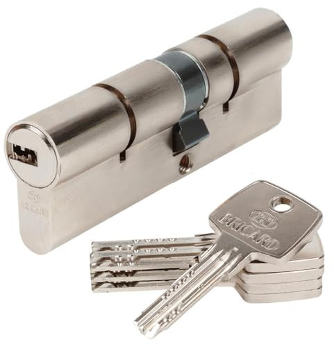 Bricard 15791 Cylindre Astral 2,9 en Laiton Nickelé 10 pistons/2 entrées 45 + 55