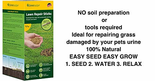 Easy Seed Easy Grow Clay Coated Grass Lawn Seed - Lawn Repair Seed Sticks 1.2 kg - Quality Lawn Seeds - 100%Natural
