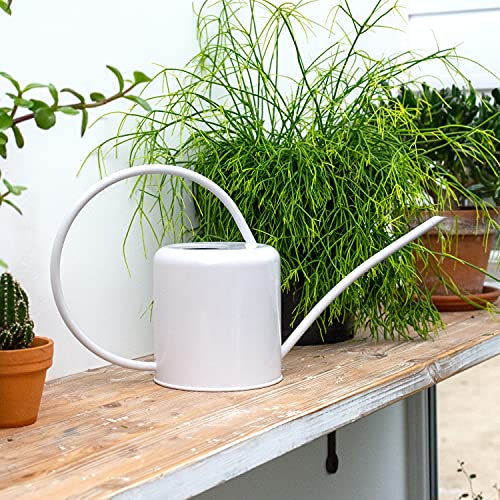 CKB LTD® Gießkanne für den Innenbereich, 1,4 l, farbiger verzinkter pulverbeschichteter Stahl, für Zimmerpflanzen, modernes Metalldesign mit schmalem Ausguss und hohem Griff (weiße Kreide)