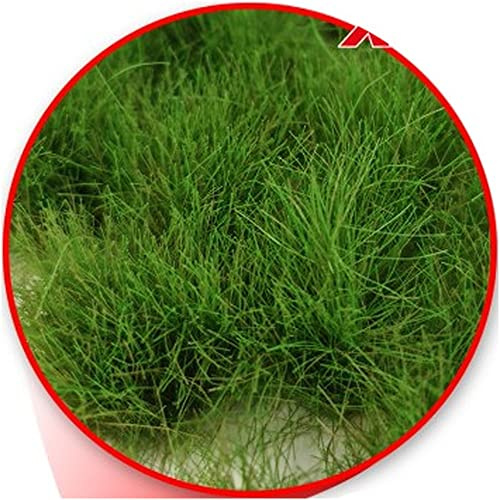 Green Stuff World Grass Tufts XXL - 22mm Self-Adhesive - Light Green