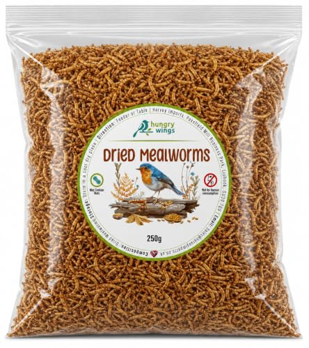 Wild Bird Food (250g, Dried Mealworms)
