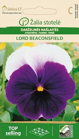 Seklos LT | PENSAMIENTO SEÑOR BEACONSFIELD | Semillas de flores | Cultivada como planta bienal | Son ideales para el balcón, para tumbas y también como flores cortadas. Semillas de plantas | 1 paquete