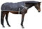 Kerbl 328691 Führanlangendecke, schwarz