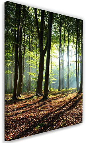 Feeby Vlies Leinwandbild Landschaft Sonnenstrahlen Blätter 40x60 cm Wanddeko Design Kunstdruck Zimmerdeko Bilderwand Natur Wald Bäume Pflanzen Grün