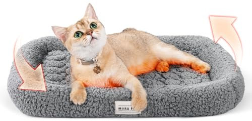 Mora Pets Selbstheizende Katzendecke Selbstwärmend Ohne Strom Wärmedecke Katze Waschbare Heizdecke Hund Erhöhtes Kopfkissen Design Selbstheizende Decke Katze mit 25D-Schwamm 43 X 49 cm, Gray