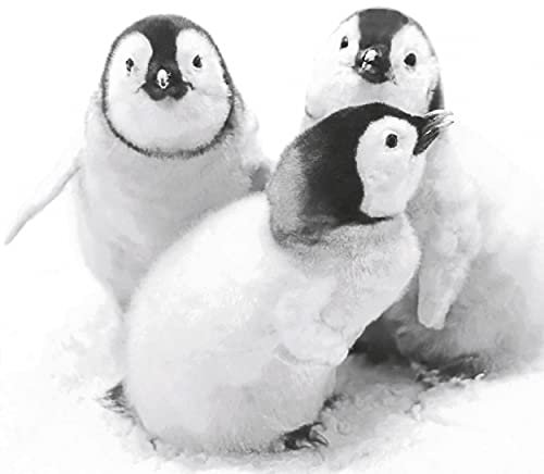 20 Lunch Servietten Pinguine Tier Winter 33 x 33cm