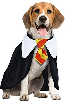 FIESTAS GUIRCA | Magieschüler Kostüm für Haustiere (DOG/M) - Umhang und Krawatte - Magier- und Zauberer-Kostüme für Halloween, Karneval und Kostümpartys - Ideal für Hunde - Schwarz und Weiß