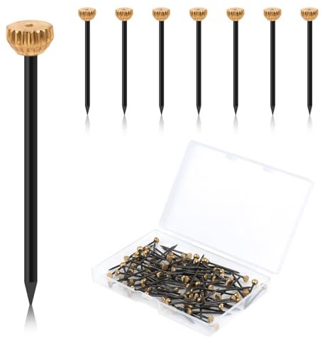100PCS Chiodi Quadri Muro,Chiodi in Acciaio per Quadri,Chiodi Quadri Pesanti,Chiodini per Quadri Muro con Testa in Ottone per Appendere Quadri,per Appendere Quadri Su Pareti in Cemento,Intonaco Legno