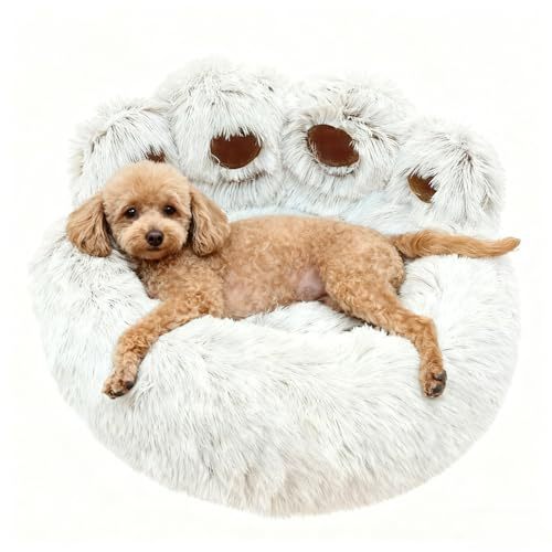 50cm Ø Flauschig Hundebett Katzenbett Bärentatzen-Design Hundekissen Katzenkissen Waschbar Hundekorb Katzenkorb Plüsch rutschfest Haustierbett Warm Schlafplatz für kleine mittelgroße Hunde/Katze/Hasen