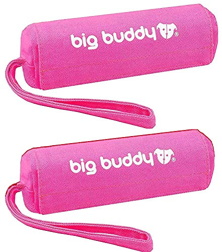 big buddy® Futterdummy für Hunde | Apportierbeutel, Futterbeutel, Hundetraining, Agility Training, Hundeerziehung, Dummy für leckerlies - extrem strapazierfähig
