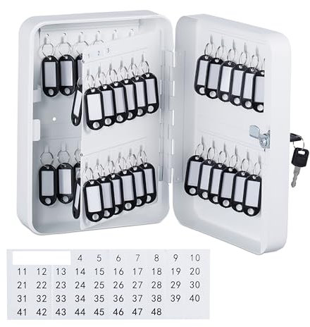 Relaxdays Caja Cuelga Llaves, con Cerradura, 48 Ganchos, 25x18x8 cm, Portallaves Hierro y Plástico, Blanco