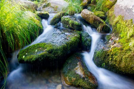 adrium Acryl-Bild 120 x 80 cm: Steine mit Moos in Bach und Wasser mit Seideneffekt(147461490)