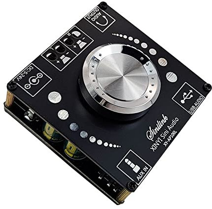 Hsthe Sea Placa amplificadora Bluetooth de 100 W + 100 W 5,0 Canales, múltiples métodos de Entrada Bluetooth + AUX + Entrada USB