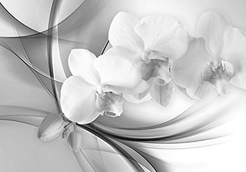 wandmotiv24 Fototapete graue Orchidee, 400 x 280 cm - selbstklebende Strukturtapete, Wanddeko, Wandbild, Wandtapete, Abstrakt, Blüten-Stängel, Blumen M1169