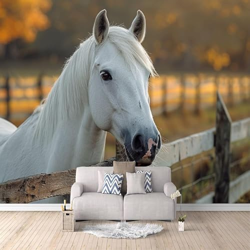 3D Fotomurales Caballo Animal 400x280 cm Decorativos Papel Pintado Panorámico Mural Caballos Tejido No Tejido Decoración de Pared Murales Moderna de Diseno w.4168