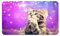 Silent Monsters Tapis de Souris S 24 x 20 cm, Petit Mouse Pad, Motif Chat, Tapis de Souris en Tissu, antidérapant, Silencieux, Le Jeu vidéo, Bureau, Home Office, Lavable, Enroulable, découpé au Laser