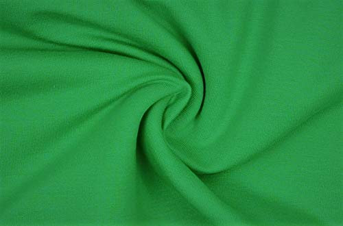 1 Meter Jersey Baumwolljersey uni Farben, 220g/m², Öko-Tex Standard 100, Stoffe, 330g/lfm (3035 Apfelgrün)