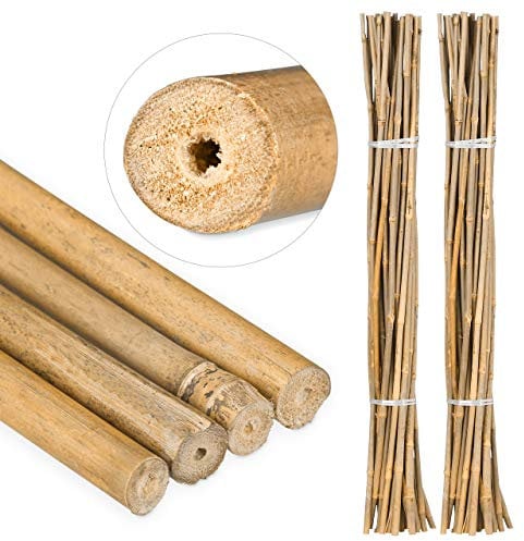 Tiges en Bambou 105 cm, Lot de 50, en Bambou Naturel, tuteur pour Plantes ou décoration, bâtons pour bricoler, Naturel