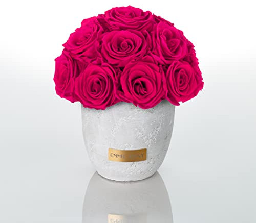 Solid Infinity Collection - Traumhafte Infinity Rosen, 1-3 Jahre haltbare Rosen, Betonvase mit echten, konservierten Rosen, edle Premiumrosen - Größe S (Hot Pink)