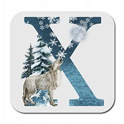 Mug Coaster Letter Of The Alphabet Christmas Winter Snow Wild Animals Personalise Table Family Names Words (Square, X)