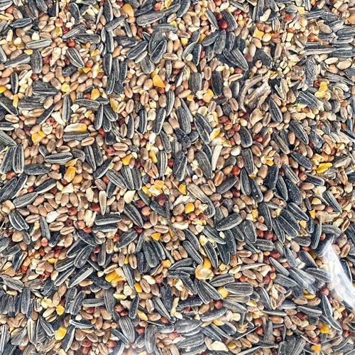 GardenersDream Deluxe Vogelfutter-Mischung - Essentielle Mischung aus Weizen, Mais, Sorghum, Sonnenblumen und Hirse - Optimale Ernährung für Wildvögel.
