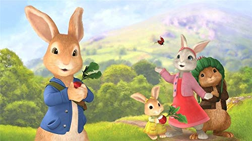 DIY 5D Diamond Painting Art Full Drill Embroidery Peter Bunny Rabbit Wallpaper Arts Craft Supply Canvas Diamond Painting Home Kitchen Hotel 60x70cm