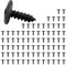 80 x Blechschrauben, Karosserieschrauben, Schrauben Schwarz, Schrauben Auto, Torx Schrauben, Auto Unterboden Schrauben, Selbstschneidende Schrauben für Autotürverkleidungen, M5 x 16mm