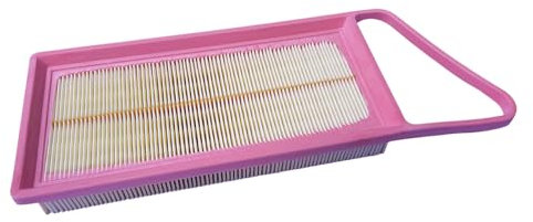 Filtro aria motore per Ford Fiesta V VI Fusion 1.4 TDCi Citroen C2 C3 XSARA 1.4 HDI 107 207 1007 BIPPER 1444VZ, 1444X3, 9642212080, 1147681, 2S6Q9601 A1A, SU00. 0100653