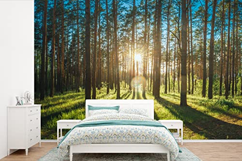Selbstklebend Tapete Wandpapier Wandaufkleber Fototapete Tapeten Wanddeko 525x350 cm Sonne - Bäume - Landschaft - Gras