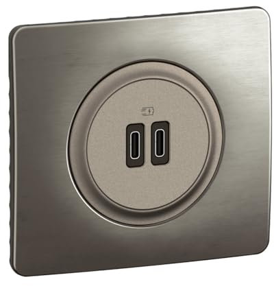 LEGRAND - Prise USB-C Double Céliane - 2 Ports USB-C 3A/20W - Recharge Tous Types d'Equipements Electroniques - Prêt à Installer - Titanium
