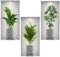 3D Sticker Mural Plantes,3PCS Plantes vertes Sticker mural Vases,Salon 3D Wall Art Stickers Fenêtre Vue Paysage Plante Stickers pour Chambre Cuisine Décoration murale (23 * 45cm)
