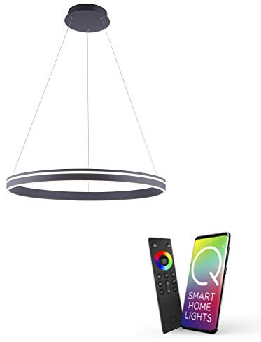 Paul Neuhaus Q-VITO 8412-13 LED Pendelleuchte, Alexa kompatibel Smart Home, dimmbar per Fernbedienung, warmweiß - kaltweiss, Ringform anthrazit