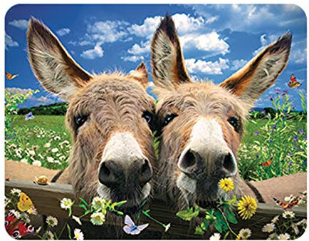 3D LiveLife Magnet - Donkeys from Deluxebase. Lenticular 3D Farm Fridge Magnet. Magnetic decor for kids and adults with artwork licensed from renowned artist, David Penfound
