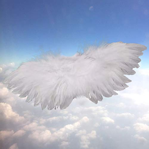 Baby Kids Mini Artificial Feather Angel Wing Newborn Photography Props 20x10cm Fluffy Feathers for Christmas Halloween Party Decorations with Black White Color (White)