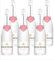 Francois Montand Sparkling Wine ICE Rosé - Traditional Method - ICE Rosé Demi-Sec - France (6 x 0.75 L)