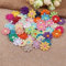 50 Stück Spitze Stickerei Kleines Gänseblümchen Applique Patches Sticker Aufnäher Applikation Flicken zum Aufnähen Gestickte Basteln und Dekorieren Kleidung Gardine Tischtuch Taschen Schal,Bunte #3