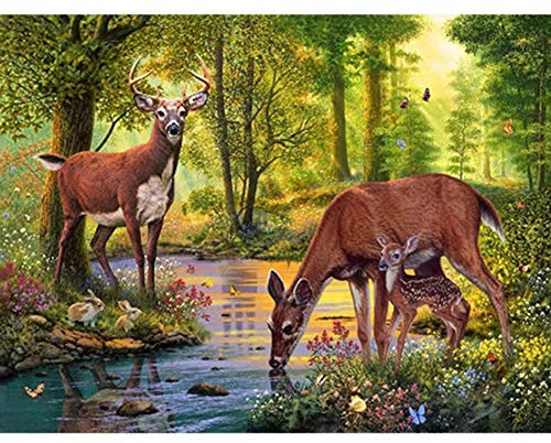 DIY 5d Diamant Peinture par numéro kit, Broderie Diamant kit Complet cerf Strass à broder au point de croix Arts Craft sur toile Décoration 40X30cm